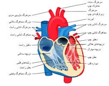 تدریس زیست دوم در چند جلسه